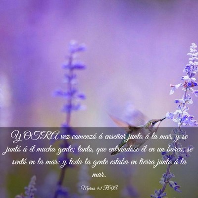 Picture 03 - Marcos 4:1 RVA - Y OTRA vez comenzó á enseñar junto á la mar, - Bible Verse Picture