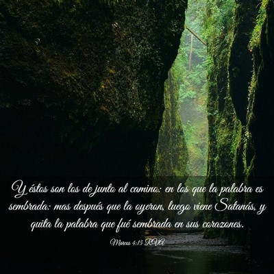 Picture 03 - Marcos 4:15 RVA - Y éstos son los de junto al camino: en los que - Bible Verse Picture