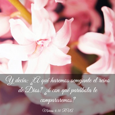 Picture 03 - Marcos 4:30 RVA - Y decía: ¿A qué haremos semejante el reino de - Bible Verse Picture