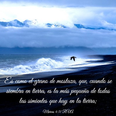 Picture 03 - Marcos 4:31 RVA - Es como el grano de mostaza, que, cuando se - Bible Verse Picture
