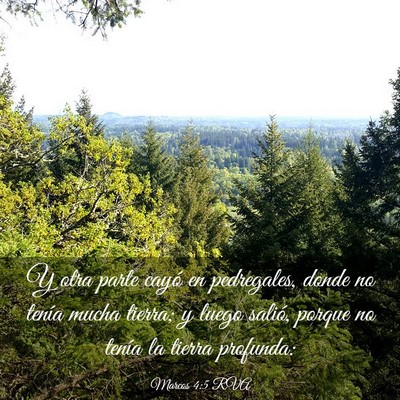 Picture 03 - Marcos 4:5 RVA - Y otra parte cayó en pedregales, donde no tenía - Bible Verse Picture