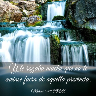 Picture 03 - Marcos 5:10 RVA - Y le rogaba mucho que no le enviase fuera de - Bible Verse Picture
