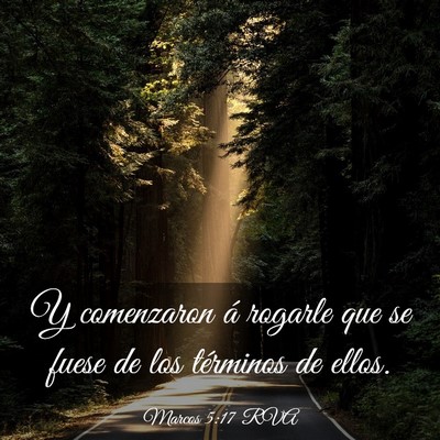 Picture 03 - Marcos 5:17 RVA - Y comenzaron á rogarle que se fuese de los - Bible Verse Picture