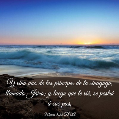 Picture 03 - Marcos 5:22 RVA - Y vino uno de los príncipes de la sinagoga, - Bible Verse Picture