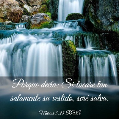 Picture 03 - Marcos 5:28 RVA - Porque decía: Si tocare tan solamente su - Bible Verse Picture