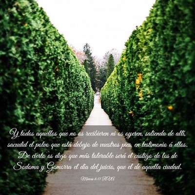 Picture 03 - Marcos 6:11 RVA - Y todos aquellos que no os recibieren ni os - Bible Verse Picture