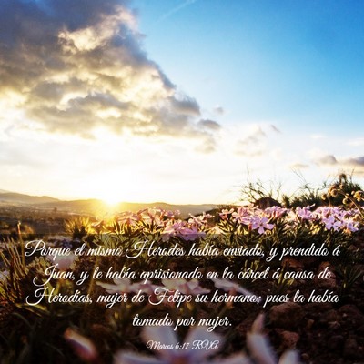 Picture 03 - Marcos 6:17 RVA - Porque el mismo Herodes había enviado, y - Bible Verse Picture