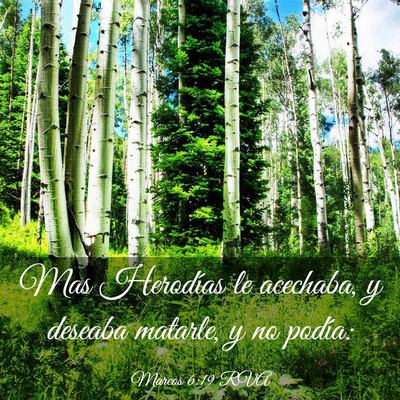 Picture 03 - Marcos 6:19 RVA - Mas Herodías le acechaba, y deseaba matarle, y - Bible Verse Picture