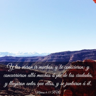 Picture 03 - Marcos 6:33 RVA - Y los vieron ir muchos, y le conocieron; y - Bible Verse Picture