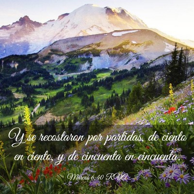 Picture 03 - Marcos 6:40 RVA - Y se recostaron por partidas, de ciento en - Bible Verse Picture