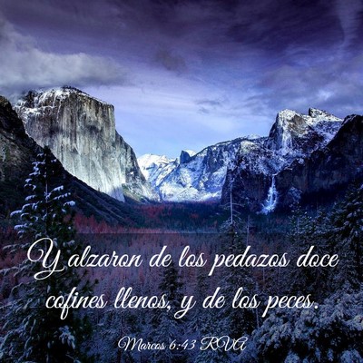 Picture 03 - Marcos 6:43 RVA - Y alzaron de los pedazos doce cofines llenos, y - Bible Verse Picture