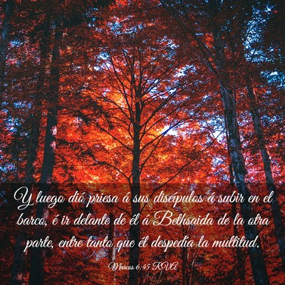 Picture 03 - Marcos 6:45 RVA - Y luego dió priesa á sus discípulos á subir - Bible Verse Picture