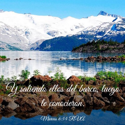 Picture 03 - Marcos 6:54 RVA - Y saliendo ellos del barco, luego le - Bible Verse Picture