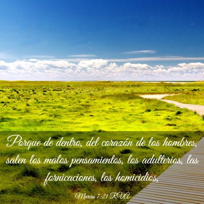Picture 03 - Marcos 7:21 RVA - Porque de dentro, del corazón de los hombres, - Bible Verse Picture