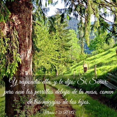 Picture 03 - Marcos 7:28 RVA - Y respondió ella, y le dijo: Sí, Señor; pero - Bible Verse Picture