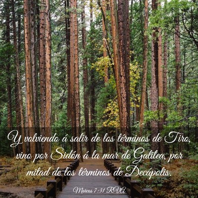Picture 03 - Marcos 7:31 RVA - Y volviendo á salir de los términos de Tiro, - Bible Verse Picture
