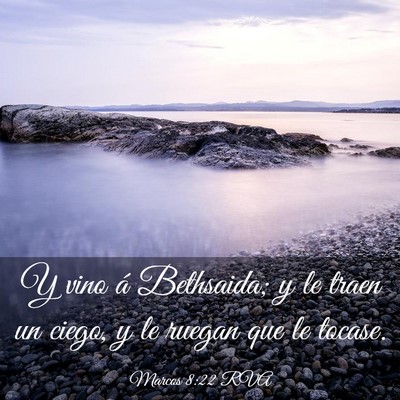 Picture 03 - Marcos 8:22 RVA - Y vino á Bethsaida; y le traen un ciego, y le - Bible Verse Picture