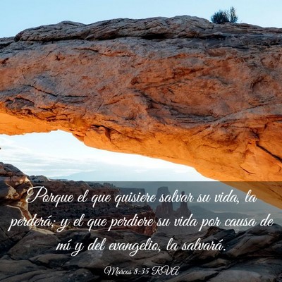 Picture 03 - Marcos 8:35 RVA - Porque el que quisiere salvar su vida, la - Bible Verse Picture