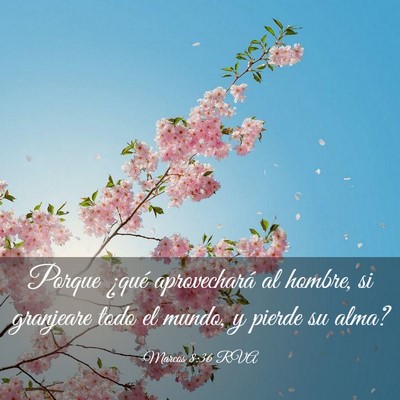 Picture 03 - Marcos 8:36 RVA - Porque ¿qué aprovechará al hombre, si - Bible Verse Picture