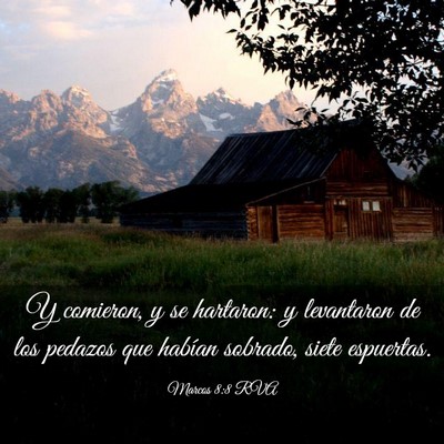 Picture 03 - Marcos 8:8 RVA - Y comieron, y se hartaron: y levantaron de los - Bible Verse Picture