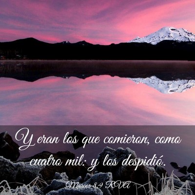 Picture 03 - Marcos 8:9 RVA - Y eran los que comieron, como cuatro mil: y los - Bible Verse Picture