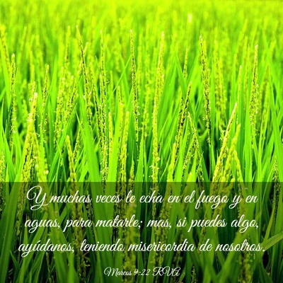 Picture 03 - Marcos 9:22 RVA - Y muchas veces le echa en el fuego y en aguas, - Bible Verse Picture