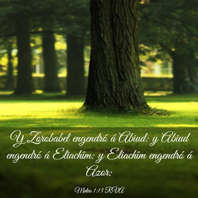 Picture 03 - Mateo 1:13 RVA - Y Zorobabel engendró á Abiud: y Abiud engendró - Bible Verse Picture