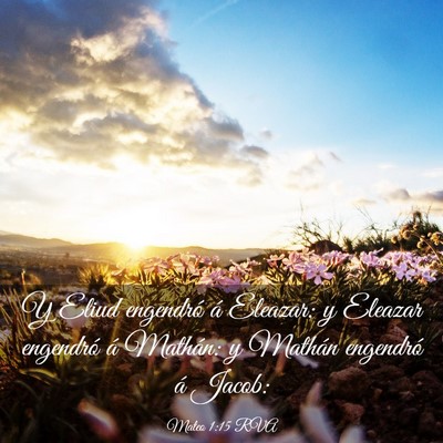Picture 03 - Mateo 1:15 RVA - Y Eliud engendró á Eleazar: y Eleazar engendró - Bible Verse Picture