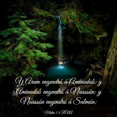 Picture 03 - Mateo 1:4 RVA - Y Aram engendró á Aminadab: y Aminadab - Bible Verse Picture