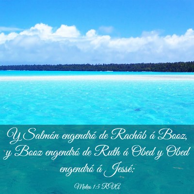 Picture 03 - Mateo 1:5 RVA - Y Salmón engendró de Rachâb á Booz, y Booz - Bible Verse Picture