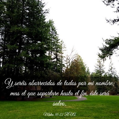 Picture 03 - Mateo 10:22 RVA - Y seréis aborrecidos de todos por mi nombre; mas - Bible Verse Picture