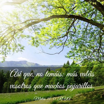 Picture 03 - Mateo 10:31 RVA - Así que, no temáis: más valéis vosotros que - Bible Verse Picture
