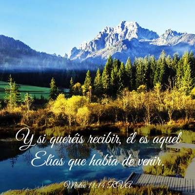 Picture 03 - Mateo 11:14 RVA - Y si queréis recibir, él es aquel Elías que - Bible Verse Picture