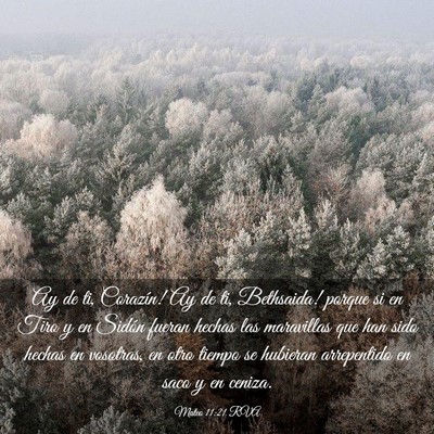 Picture 03 - Mateo 11:21 RVA - Ay de ti, Corazín! ­Ay de ti, Bethsaida! porque - Bible Verse Picture