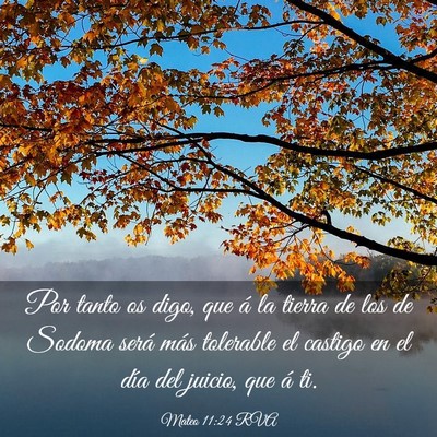 Picture 03 - Mateo 11:24 RVA - Por tanto os digo, que á la tierra de los de - Bible Verse Picture