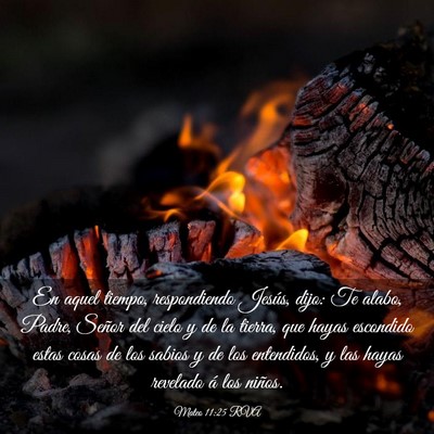 Picture 03 - Mateo 11:25 RVA - En aquel tiempo, respondiendo Jesús, dijo: Te - Bible Verse Picture