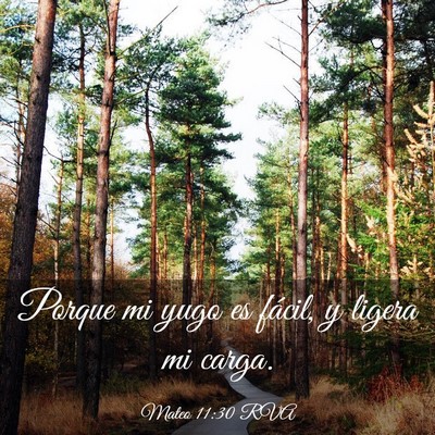 Picture 03 - Mateo 11:30 RVA - Porque mi yugo es fácil, y ligera mi - Bible Verse Picture