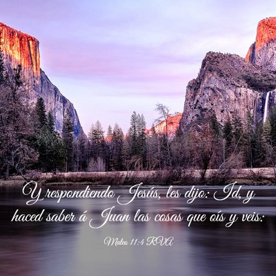 Picture 03 - Mateo 11:4 RVA - Y respondiendo Jesús, les dijo: Id, y haced - Bible Verse Picture