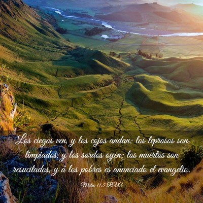 Picture 03 - Mateo 11:5 RVA - Los ciegos ven, y los cojos andan; los leprosos - Bible Verse Picture