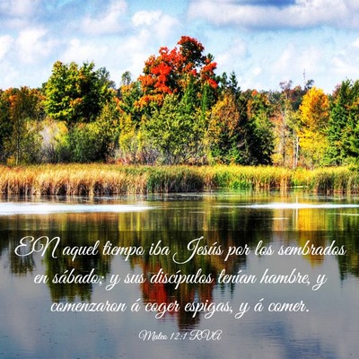 Picture 03 - Mateo 12:1 RVA - EN aquel tiempo iba Jesús por los sembrados en - Bible Verse Picture