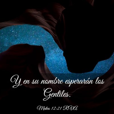 Picture 03 - Mateo 12:21 RVA - Y en su nombre esperarán los - Bible Verse Picture