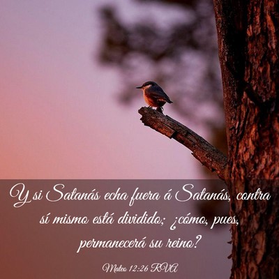 Picture 03 - Mateo 12:26 RVA - Y si Satanás echa fuera á Satanás, contra sí - Bible Verse Picture