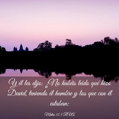 Picture 03 - Mateo 12:3 RVA - Y él les dijo: ¿No habéis leído qué hizo - Bible Verse Picture