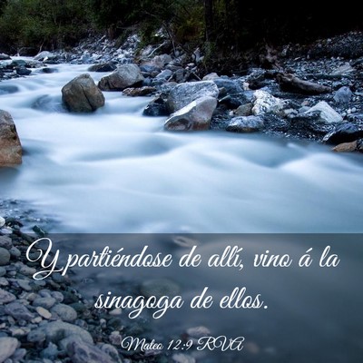 Picture 03 - Mateo 12:9 RVA - Y partiéndose de allí, vino á la sinagoga de - Bible Verse Picture