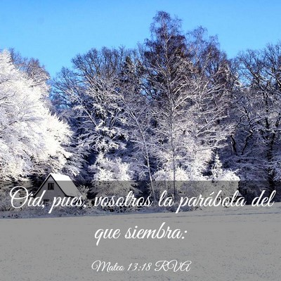 Picture 03 - Mateo 13:18 RVA - Oid, pues, vosotros la parábola del que - Bible Verse Picture