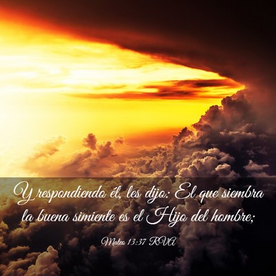 Picture 03 - Mateo 13:37 RVA - Y respondiendo él, les dijo: El que siembra la - Bible Verse Picture