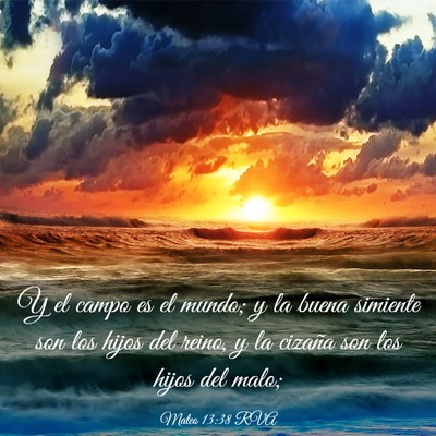 Picture 03 - Mateo 13:38 RVA - Y el campo es el mundo; y la buena simiente son - Bible Verse Picture