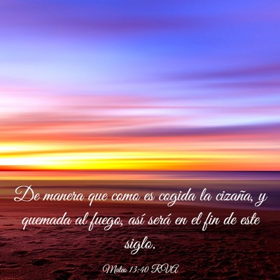 Picture 03 - Mateo 13:40 RVA - De manera que como es cogida la cizaña, y - Bible Verse Picture
