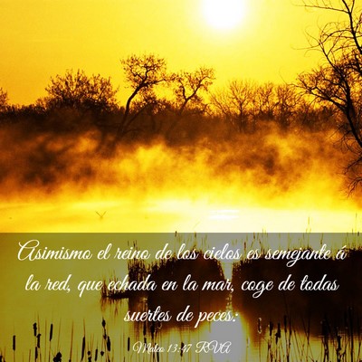 Picture 03 - Mateo 13:47 RVA - Asimismo el reino de los cielos es semejante á - Bible Verse Picture