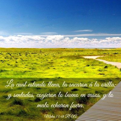 Picture 03 - Mateo 13:48 RVA - La cual estando llena, la sacaron á la orilla; y - Bible Verse Picture